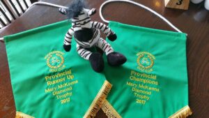 Pennants Investec Mascot 2017 Pennants Investec Mascot 2017